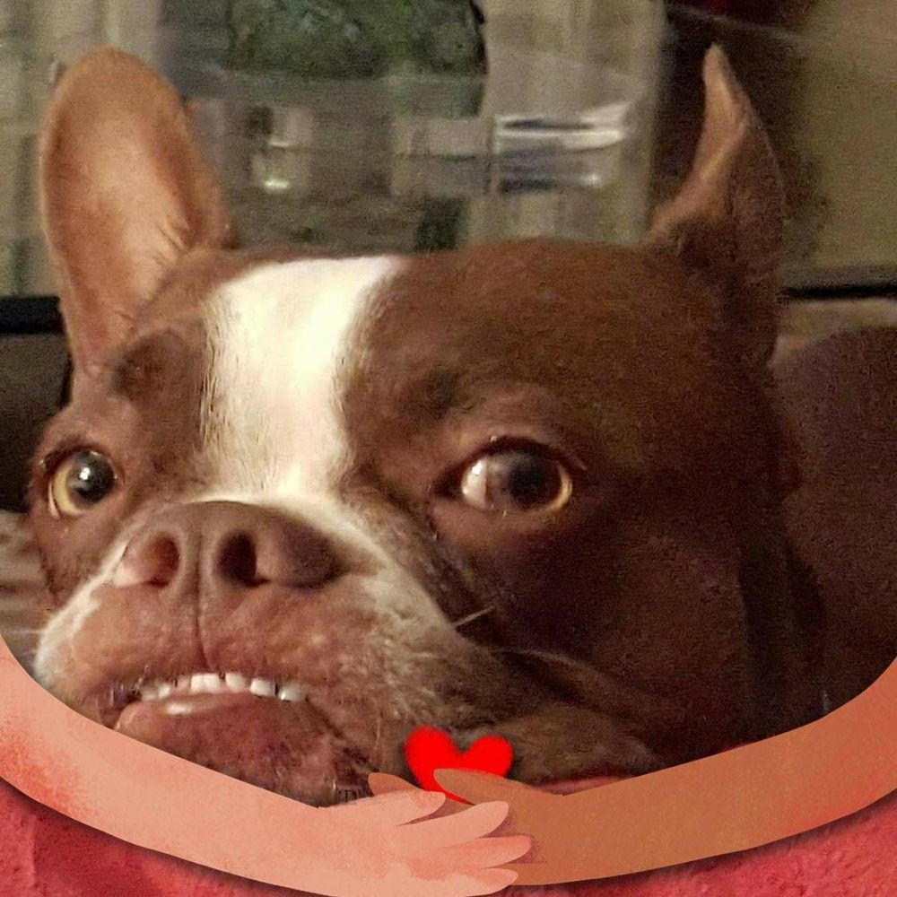 Meet your Posher, Buster